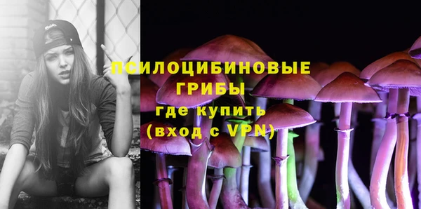 ECSTASY Алексеевка