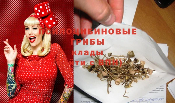 ECSTASY Алексеевка