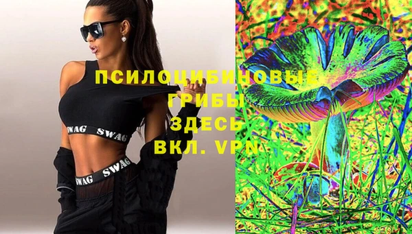 гидропоника Алзамай